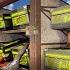I Raided A Clans Sulfur Stash