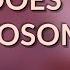 What Does Chromosome 8 Do