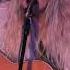 Elizabeth Cook I M Not Lisa Jessi Colter Eddie Owen Presents