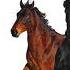 Lil Nas X Feat Billy Ray Cyrus Old Town Road Official Instrumental Real One