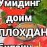 Олисдаги Кадирдонларим