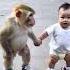 The Little Monkey Had So Much Fun With The Baby Skatingrink Cute Baby Little Monkey Cute Pet Deb