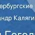 Николай Гоголь Шинель Из цикла Петербургские повести Читает Александр Калягин Часть 2