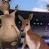 Ain T No Kanga Roo Enough