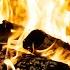 COZY Nights By The FIREPLACE NO MUSIC With SMOLDERING Embers With WOODFIRE Symphony For REST