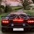 Рёв мотора Shorts Supercars