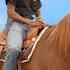I Took A Horse To Walmart
