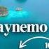 Raja Ampat Fam Island Piaynemo Dolphins Manta Rays Freediving