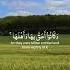 ايات السكينة احمد النفيس
