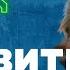 Как отучить собаку бояться 3 реакции на страх и что делать