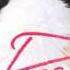 Carly Rae Jepsen This Kiss