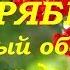 Защитный оберег на жилище Заговор на деньги Природная магия