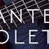 TARANTELLA NAPOLETANA Performed By Alejandro Aguanta Classical Guitar