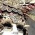The Venetian Mask Phenomenon Explained