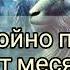 Прогноз на февраль 2025 года для знака Козерог Как спокойно прожить февраль