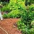 Mulch Down Deer Pressure Up My Garden Reality Check