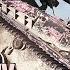 WT Auf Pz IV Rare Offensive Play World Of Tanks