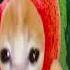 Fardhu Farel