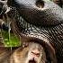 Rescuers Race Against Time To Save Rodent From Monstrous Slug Attack Rescuealert Wildhope