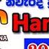 Handahana 0980 2024 11 30 Today Lottery Result අද හඳහන ල තර ය ප රත ඵල Nlb