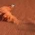 Гонки по вертикали Shorts Nissan Automobile Desert Usa Ksa