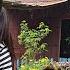 A Mother S Worries And Love When Returning To Her Homeland Tet Doan Ngo Ash Cake Ly Chau Hang