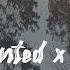 Enchanted X Sayo Taylor Swift Sanctuary