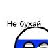 Николай Не бухай Долб ёб Capcut Countryballs Meme Shorts