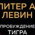 Питер А Левин Пробуждение тигра Исцеление травмы Легендарный бестселлер Аудиокнига