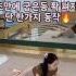 하루 1분만 투자해서 일어나서 자기 전 이동작 어때요 단 한가지 동작으로 굽은 등 쫙 펴보세요 홈트 홈트레이닝 등스트레칭 스트레칭 굽은등교정 등운동