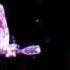 Love Hurts Jupiter Rising Emmylou Buddy Miller On Cayamo