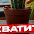 ПРЕКРАТИ БЫТЬ УДОБНОЙ Эти ОШИБКИ допускают ВСЕ Психолог Анетта Орлова про уверенность тревоги