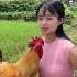 Every Time I Take The Rooster Out To Play With The Big Rooster I Will Come And Ask Me To Hold I