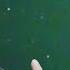 Strange UFO Activity Detected On The Ranch The Secret Of Skinwalker Ranch The UnXplained Zone