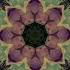 Psicotrònic Frenètic Fractalvideo Kaleidoscopicvideo