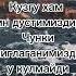 ДУСТ Shorts