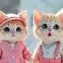 Awww They Are So Adorable Cute Cat Cats Kitten Lipsync Meow Pets Catlover Kitty