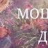 Моцарт для детей