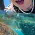 Crazy BEACH DAY In HAWAii Sea Turtles Boogie Board Surf Family Buried In Sand Like Lilo Stitch