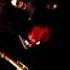 A Taste Of DMP The Inmigrants Thom Rotella Band
