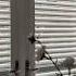 NO DRILL SHUTTERS Homestyling Home Homestylinginspo Styleyourhome Kitchendesign