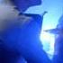 LA ROUX LIVE AT BATACLAN PARIS