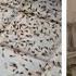 Flying Termites Swarm New Orleans Home