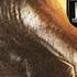 Jurassic World Rebirth Island Name REVEALED More Clues On Origins Of The D Rex