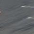 MotoGP Historic Battles Rossi Vs Stoner Laguna Seca 08