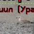 Пророчества старца Гавриила Ургебадзе Грузия и пол России
