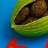 Chew 1 Pod Daily To Breathe Free Clear Mucus Calm Lung Inflammation Fast Dr Mandell