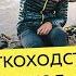 Секреты легкоходства что брать с собой в поход