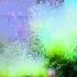 Reef Tank EVERYTHING REFUGIUM In 9 Minutes