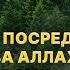 Тавассуль посредством господства Аллаха над тремя ангелами Пользы из Шарх Ас Сунна Абу Яхья